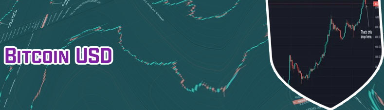 Bitcoin graph all time