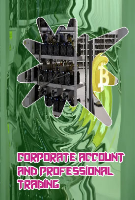 Plataforma bitcoin pro